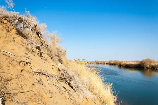 Fluss Der Frühlingssteppe Flussufer Mit Schilf Bewachsen Wasser Ist Reiner — Stockfoto