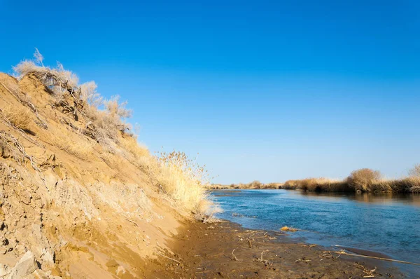 Rivier Voorjaar Steppe Riverbank Begroeid Met Riet Water Zuiver Emerald — Stockfoto