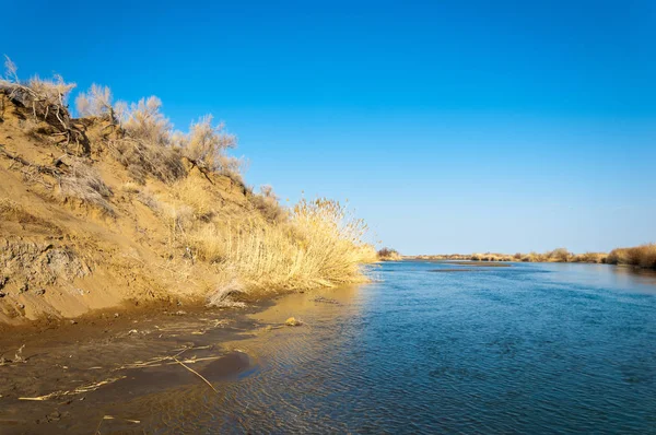 bahar bozkır nehirde. nehir sazlık ile büyümüş. saf zümrüt sudur