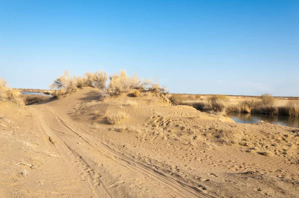 bahar bozkır nehirde. nehir sazlık ile büyümüş. saf zümrüt sudur