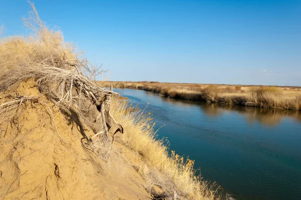 bahar bozkır nehirde. nehir sazlık ile büyümüş. saf zümrüt sudur