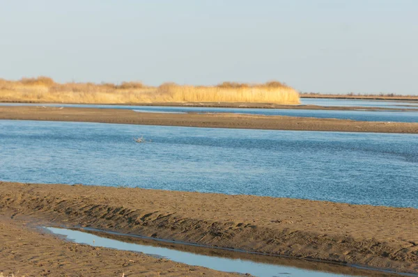 bahar bozkır nehirde. nehir sazlık ile büyümüş. saf zümrüt sudur