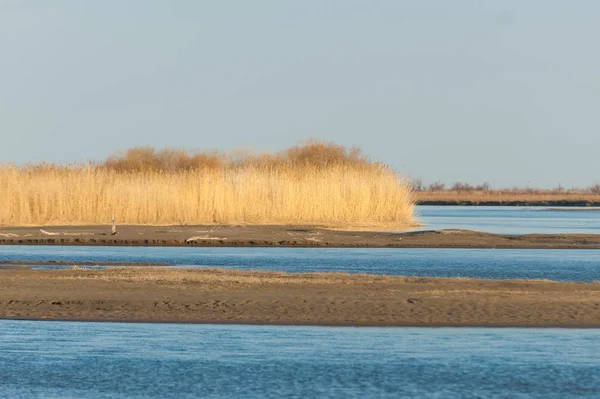 bahar bozkır nehirde. nehir sazlık ile büyümüş. saf zümrüt sudur