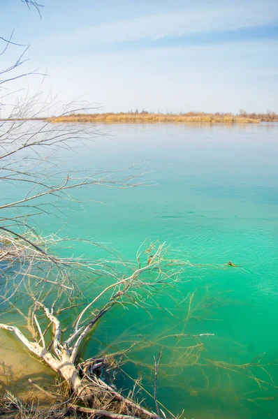 bahar bozkır nehirde. nehir sazlık ile büyümüş. saf zümrüt sudur