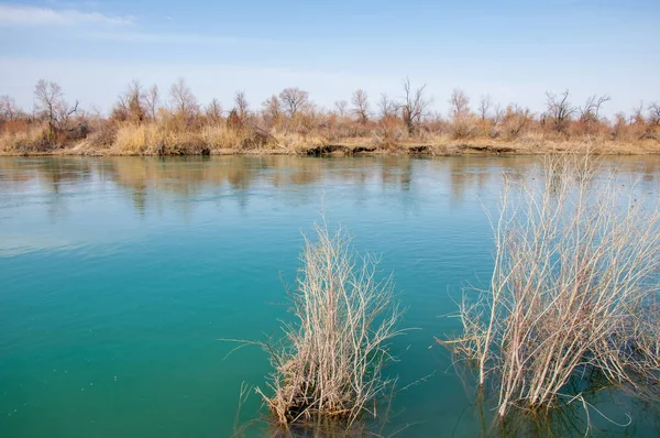 bahar bozkır nehirde. nehir sazlık ile büyümüş. saf zümrüt sudur