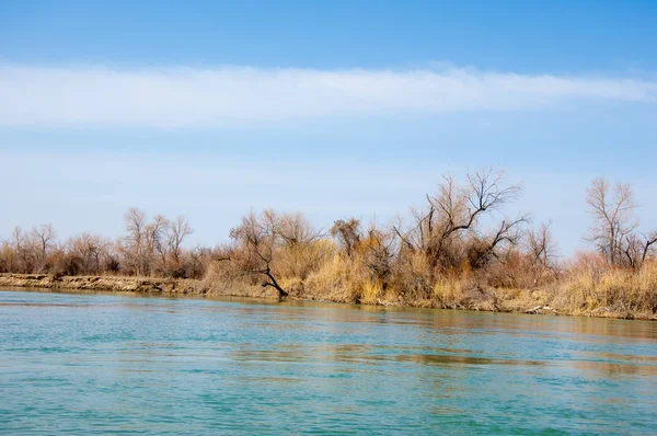 Río Estepa Primavera Ribera Cubierta Juncos Agua Pura Esmeralda — Foto de Stock