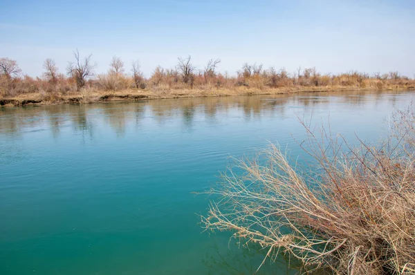 bahar bozkır nehirde. nehir sazlık ile büyümüş. saf zümrüt sudur