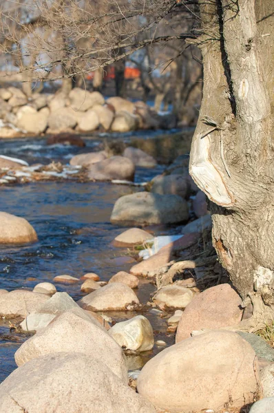 Küçük Bir Nehir Erken Ilkbahar Akarsu Bahar Sahne Donmuş Bir — Stok fotoğraf