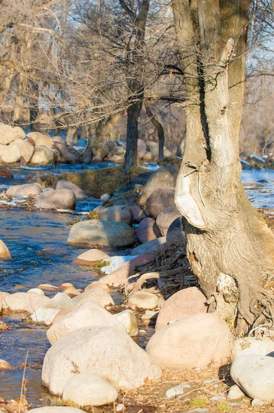 Потоки Воды Маленькой Реке Ранней Весной Весенняя Сцена Горный Пейзаж — стоковое фото