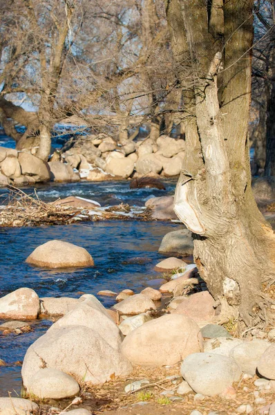 Küçük Bir Nehir Erken Ilkbahar Akarsu Bahar Sahne Donmuş Bir — Stok fotoğraf