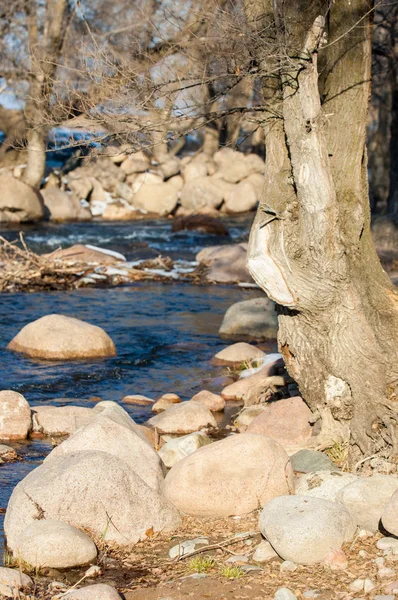 su küçük bir nehir erken ilkbahar akarsu. Bahar sahne. donmuş bir dere ile dağ manzarası