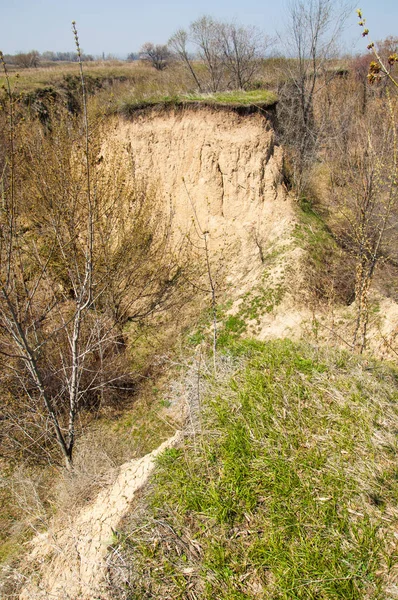 Yangından sonra bahar dağ geçidi. dağ geçidi dağlar içinde belgili tanımlık geçmiş. yonca alanıyla uçurumun hangi arkasında uzanır