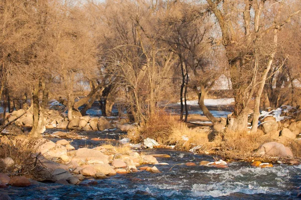 Küçük Bir Nehir Erken Ilkbahar Akarsu Bahar Sahne Donmuş Bir — Stok fotoğraf