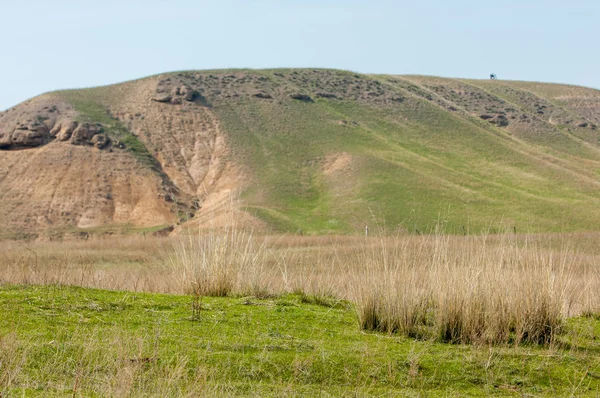 Bahar eteklerinde, yeşil çimen, tepeler, willow brook üzerinde,