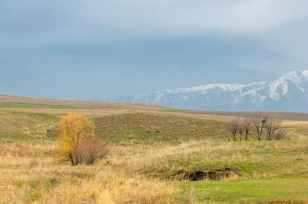 Spring Foothills Green Grass Hills Willow Brook — Stock Photo, Image