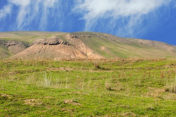 Bahar eteklerinde, yeşil çimen, tepeler, willow brook üzerinde,