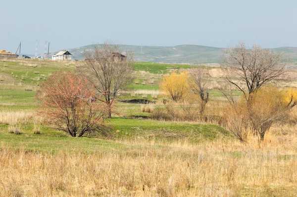 Bahar eteklerinde, yeşil çimen, tepeler, willow brook üzerinde,