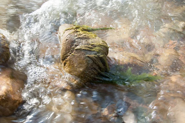 Acqua Corrente Piccolo Fiume Primavera Scena Primaverile Paesaggio Montano Con — Foto Stock
