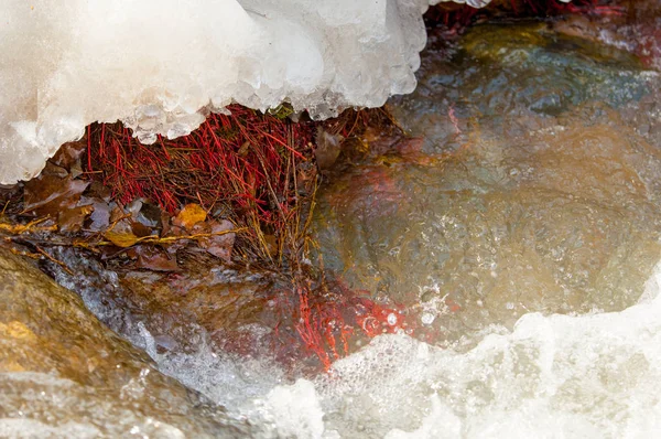 Streaming Water Small River Early Springtime Spring Scene Mountain Landscape — Stock Photo, Image