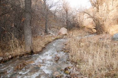  kayalar ve woods, erken Bahar yatay