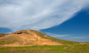 willow, Tien Shan eteklerinde büyüyen sahilde bahar creek