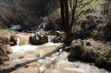 dağ nehir. dağ nehir çamurlu su akan