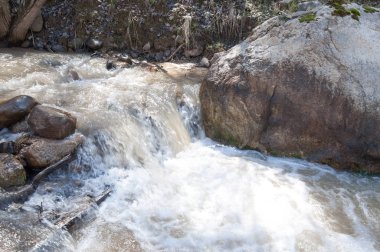 dağ nehir. dağ nehir çamurlu su akan