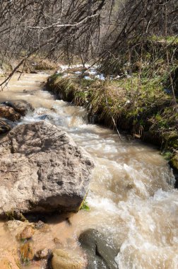 dağ nehir. dağ nehir çamurlu su akan