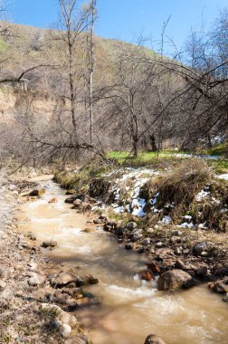 dağ nehir. dağ nehir çamurlu su akan