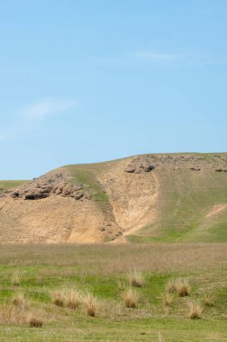 willow, Tien Shan eteklerinde büyüyen sahilde bahar creek