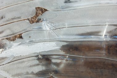 doku. Donmuş su birikintisi, Bahar, buz kalıpları. 