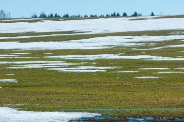 Geçen kış bahar kar. Ağaçlar