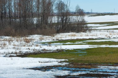 Geçen kış bahar kar. Ağaçlar