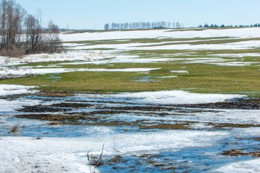 Geçen kış bahar kar. Ağaçlar