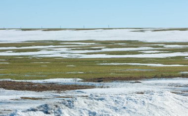 Geçen kış bahar kar. Ağaçlar