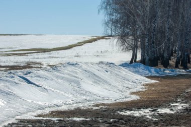 Geçen kış bahar kar. Ağaçlar