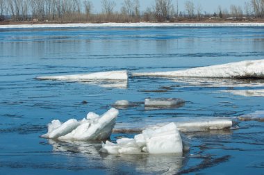 River With Broken Ice. ice hummocks on the river in spring. landscape close-up ice drift on the river in the spring on a sunny day clipart