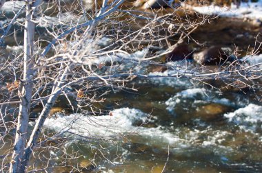 su küçük bir nehir erken ilkbahar akarsu. Bahar sahne. donmuş bir dere ile dağ manzarası