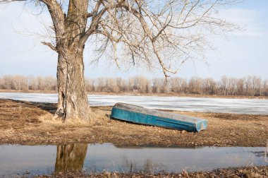 Bahar River, buz Nehri üzerinde. çıplak ağaçlar ve mavi gökyüzünde güzel bulutlar güzel bahar manzara nehir buz ile erimiş