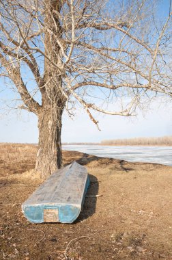 Bahar River, buz Nehri üzerinde. çıplak ağaçlar ve mavi gökyüzünde güzel bulutlar güzel bahar manzara nehir buz ile erimiş