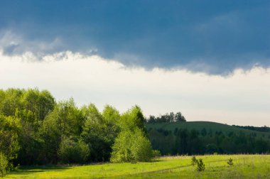 Günbatımında günbatımı, güzel yeşil ağaç bulutlar ile bahar ormandaki bahar.
