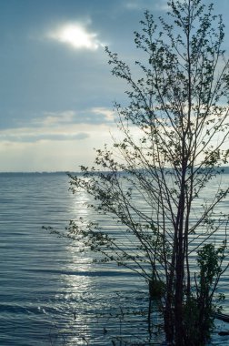 bulut su ışık demeti. Güzel gün batımı plajda, harika renkler, yaz aylarında plaj üzerinde ışık demetinin üstten görünüm
