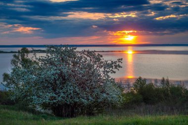 Gün batımı, Güneş doğuyor. Nehir bulut. Dramatik yanan gökyüzü sırasında yaz günbatımı. 