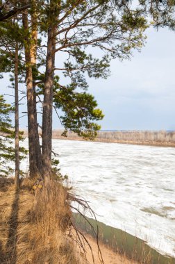 Bahar River, buz Nehri üzerinde. çıplak ağaçlar ve mavi gökyüzünde güzel bulutlar güzel bahar manzara nehir buz ile erimiş
