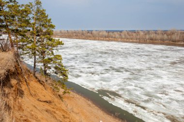 Bahar River, buz Nehri üzerinde. çıplak ağaçlar ve mavi gökyüzünde güzel bulutlar güzel bahar manzara nehir buz ile erimiş