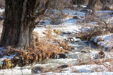  kayalar ve woods, erken Bahar yatay