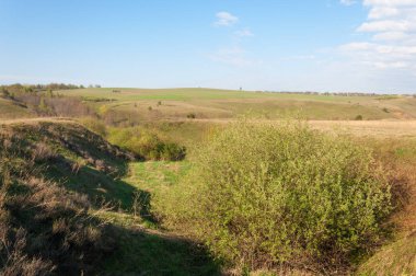 Dağ geçidi ağaç bahar. Toprak erozyonu bahar sezonu. Bahar güneşli bir dağ geçidi boyunca ağaçlar
