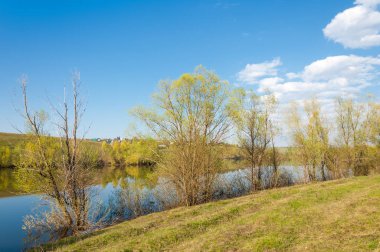 bahar Gölü. Su birikintisi bahar. Bahar park göl. bahar Gölü sahne. Bahar gölün kıyısında.