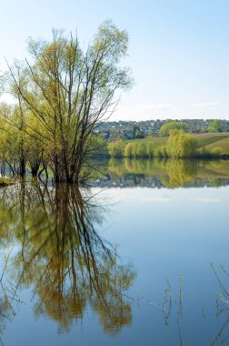 bahar Gölü. Su birikintisi bahar. Bahar park göl. bahar Gölü sahne. Bahar gölün kıyısında.