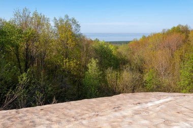 Son kar, yeşil ağaçlar. Bir orman hillside bahar yeşil kar son parça. Yeşil bahar kayın ormanı tepe üzerinde son karda. Nisan hava.